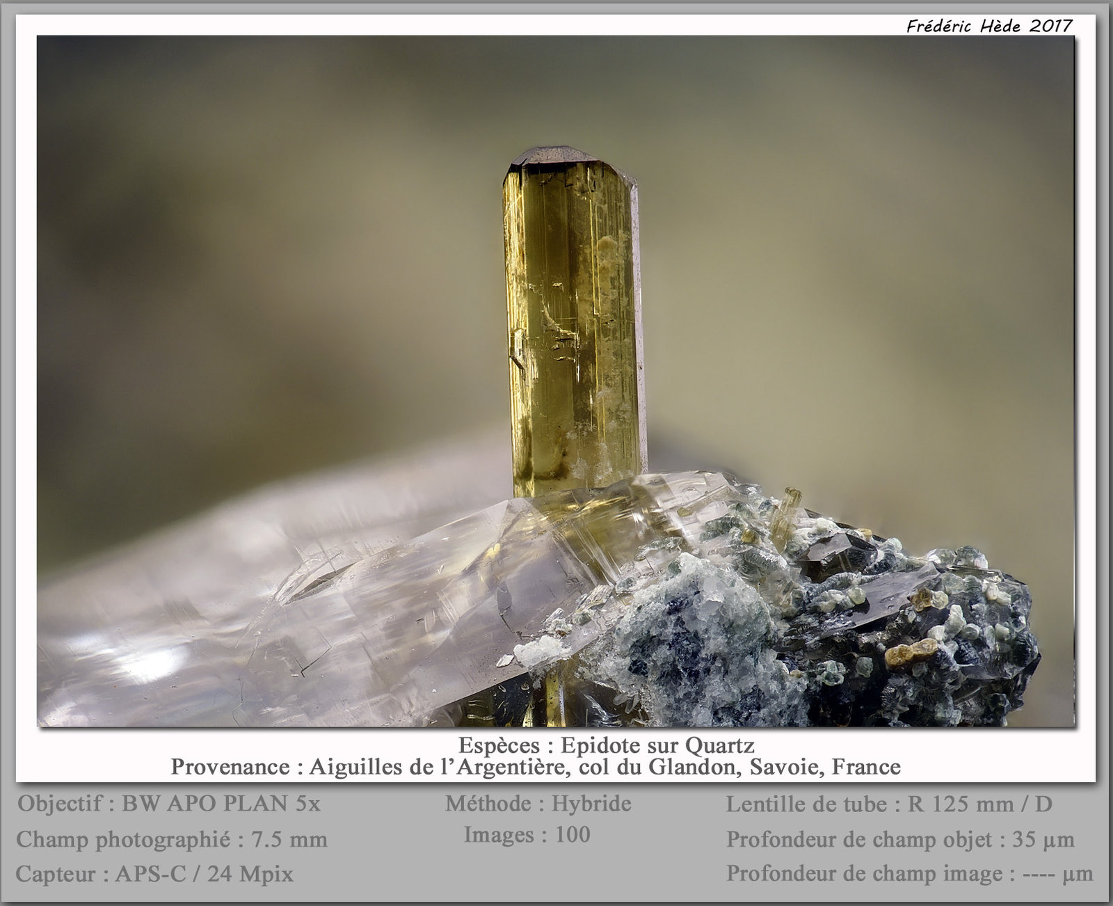 Epidote on Quartz
fov 7.5 mm
(Autor: ploum)
