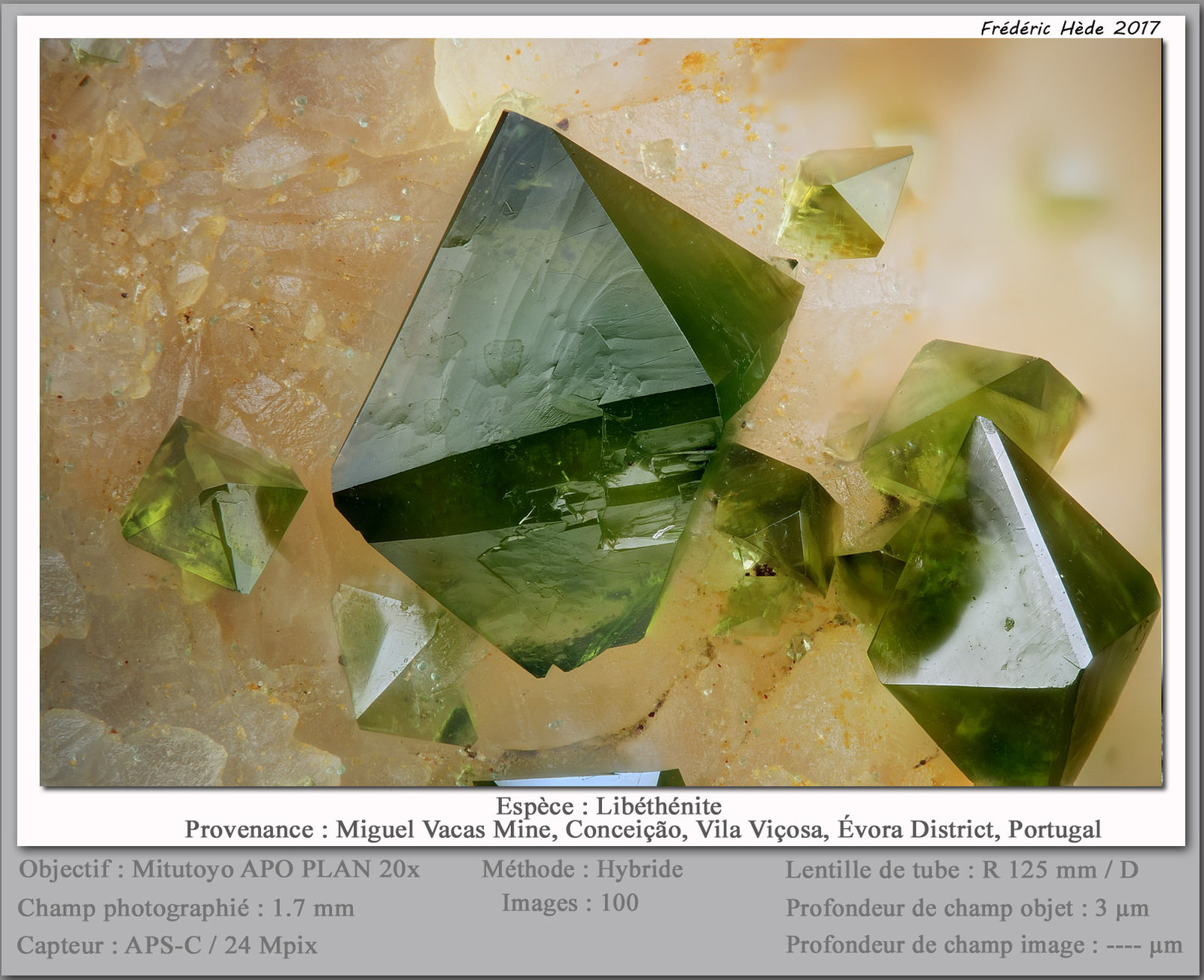 Libethenite
fov 1.7 mm
(Autor: ploum)