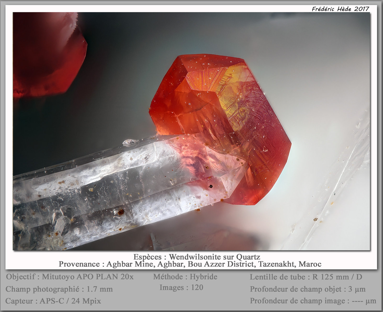 Roselite-Wendwilsonite Series on Quartz
fov 1.7 mm
(Autor: ploum)