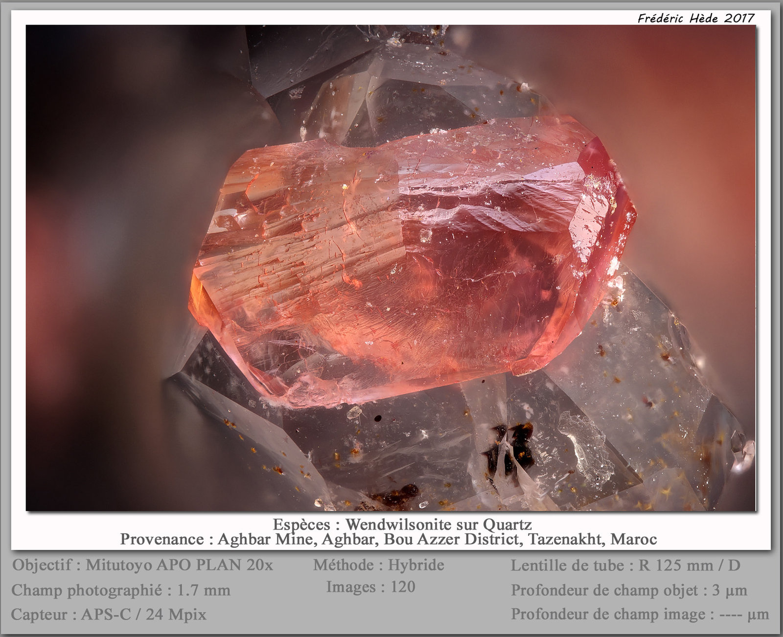 Roselite-Wendwilsonite Series on Quartz
fov 1.7 mm
(Autor: ploum)