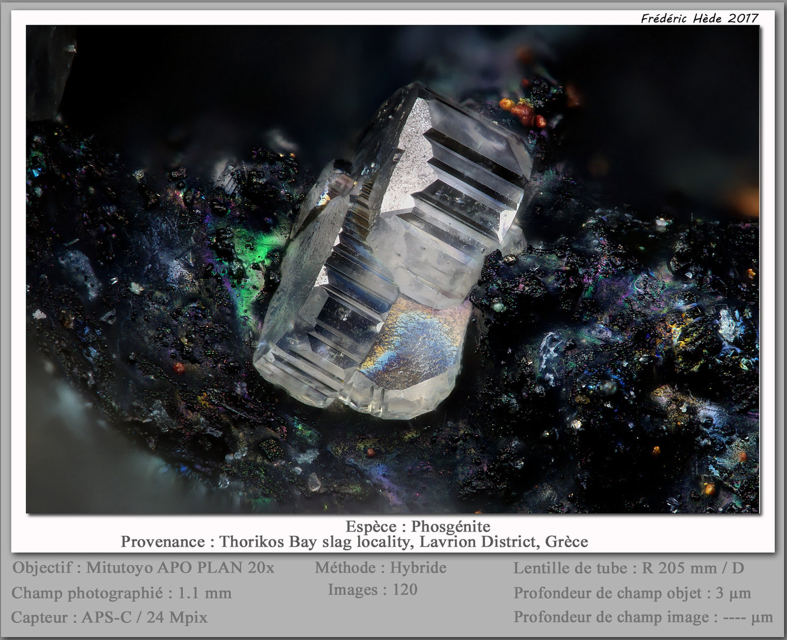 Phosgenite
fov 1.1 mm
(Autor: ploum)