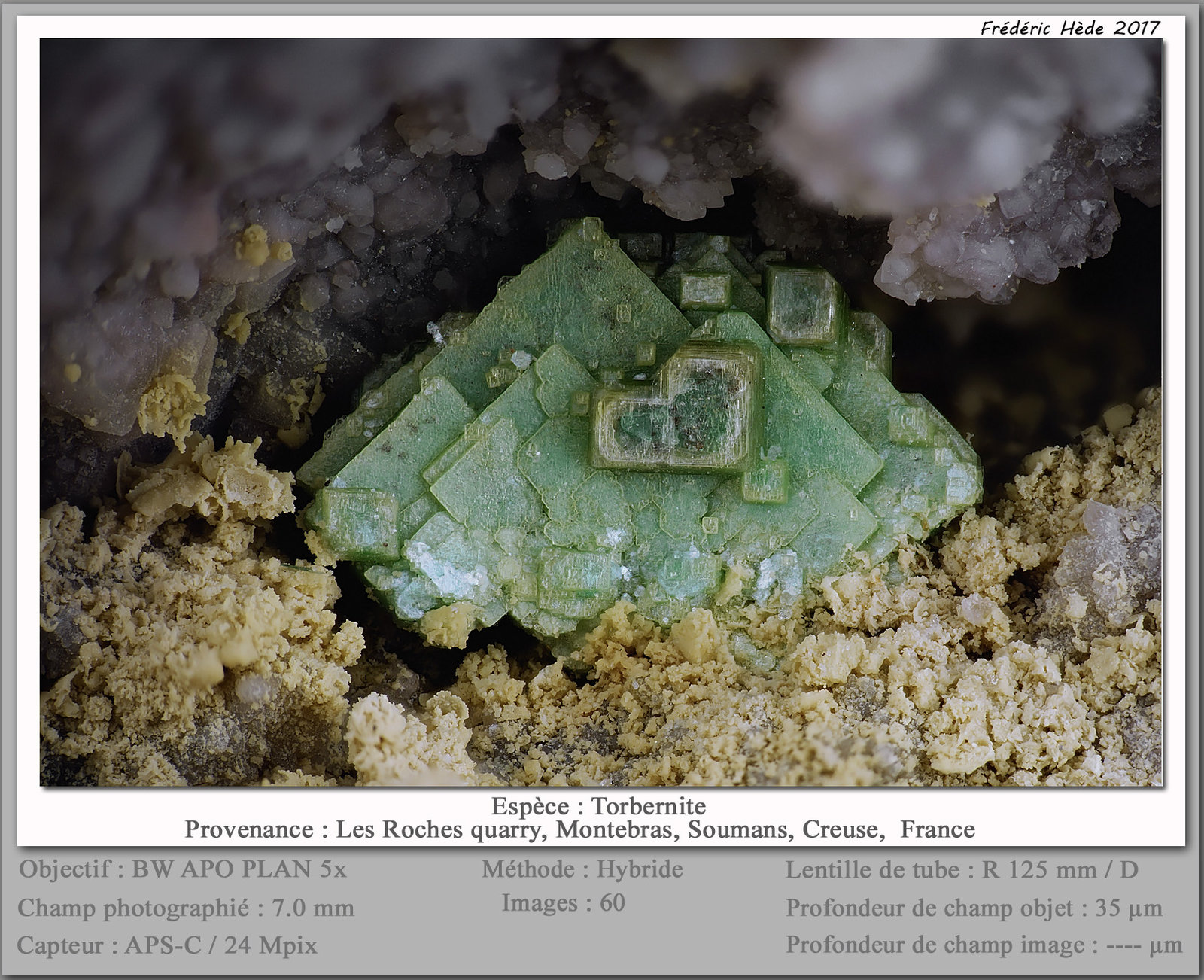 Torbernite
fov 7 mm
(Autor: ploum)