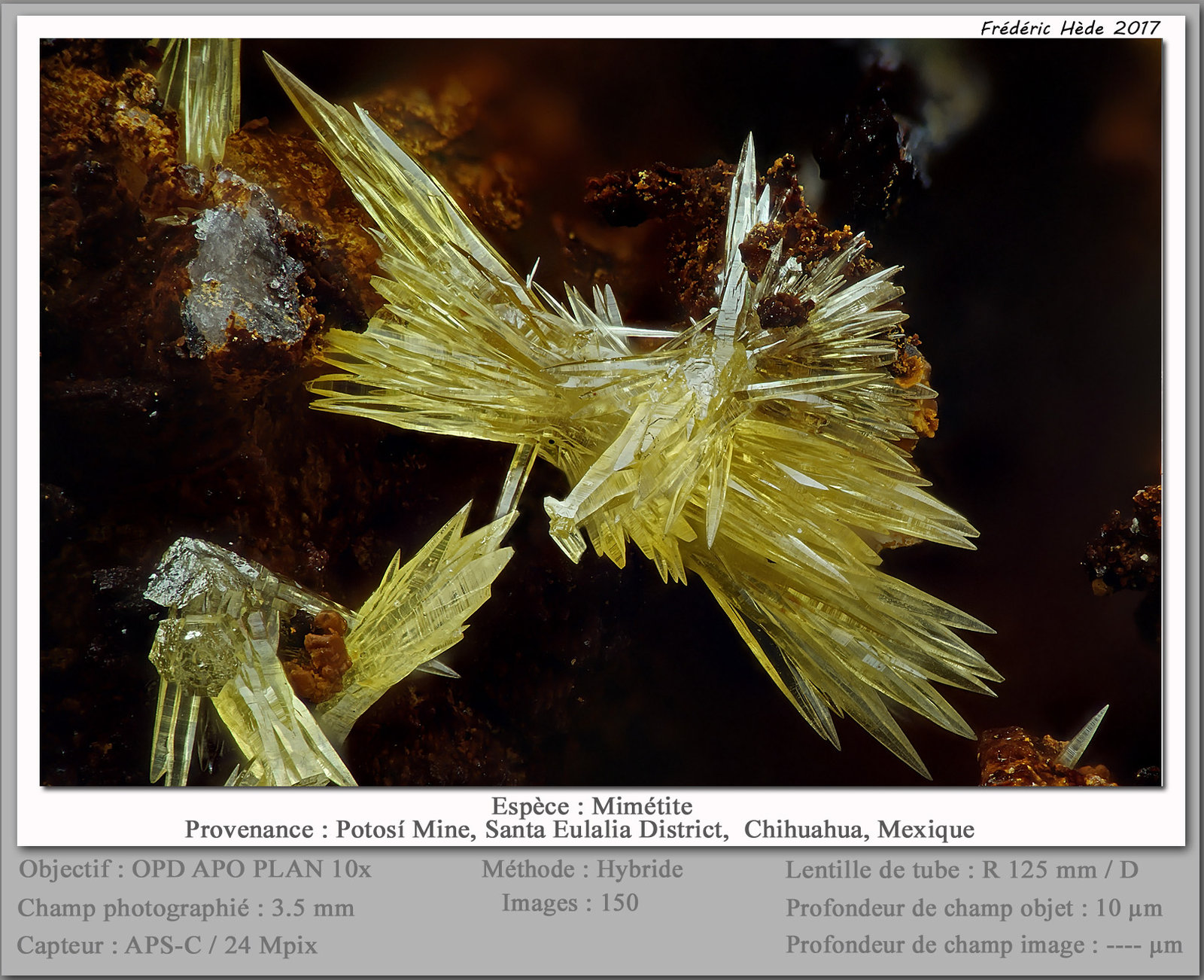 Mimetite
fov 3.5 mm
(Autor: ploum)