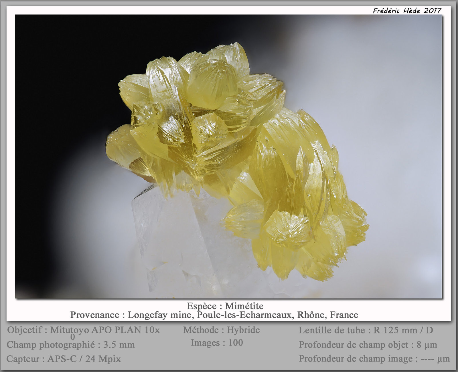 Mimetite
fov 3.5 mm
(Autor: ploum)