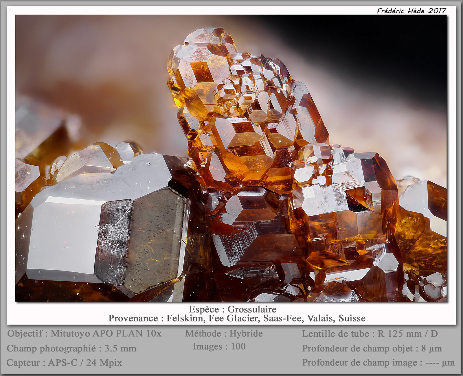 Grossular
fov 3.5 mm
(Autor: ploum)