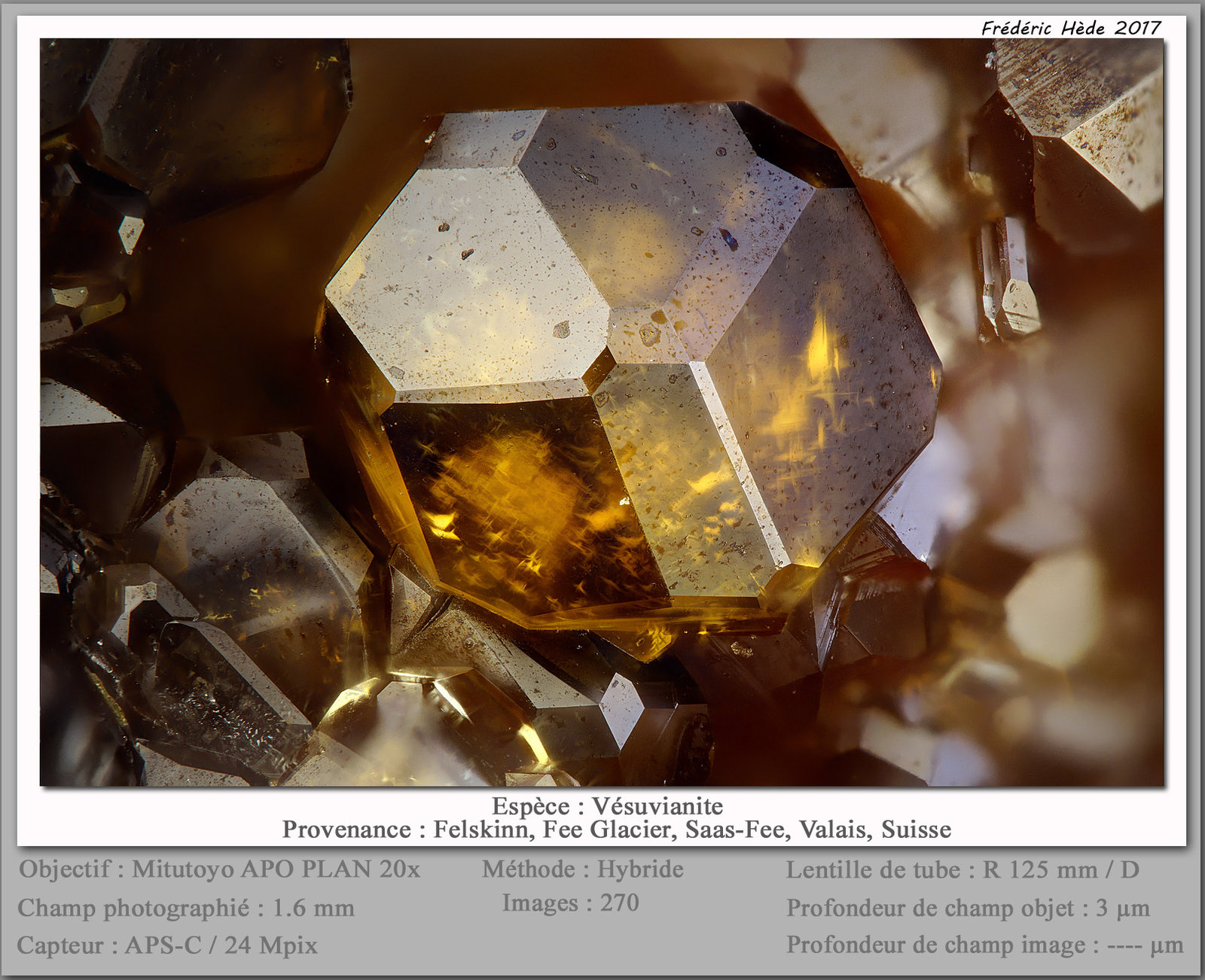 Vesuvianite
fov 1.6 mm
(Autor: ploum)
