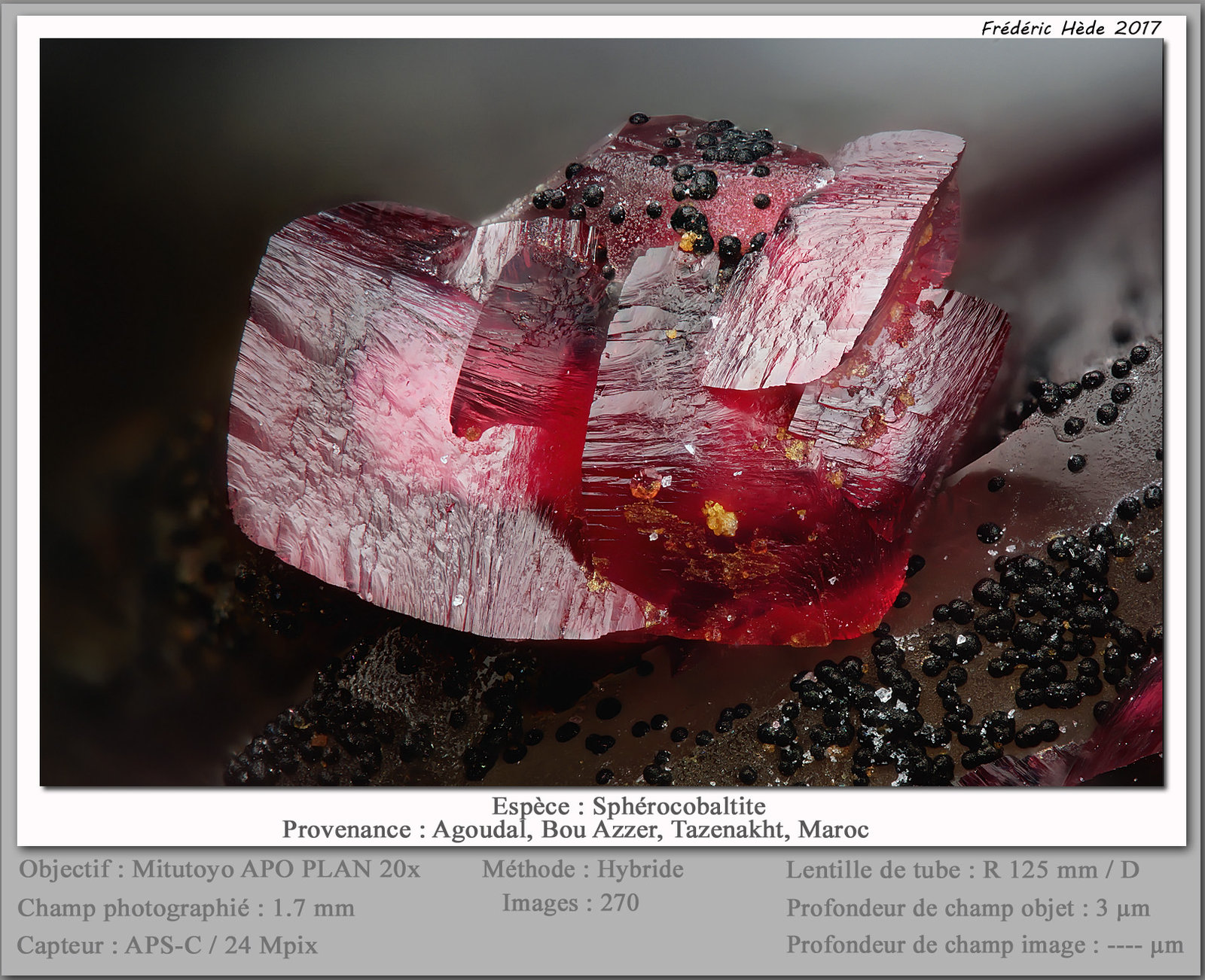 Spherocobaltite
fov 1.7 mm
(Autor: ploum)