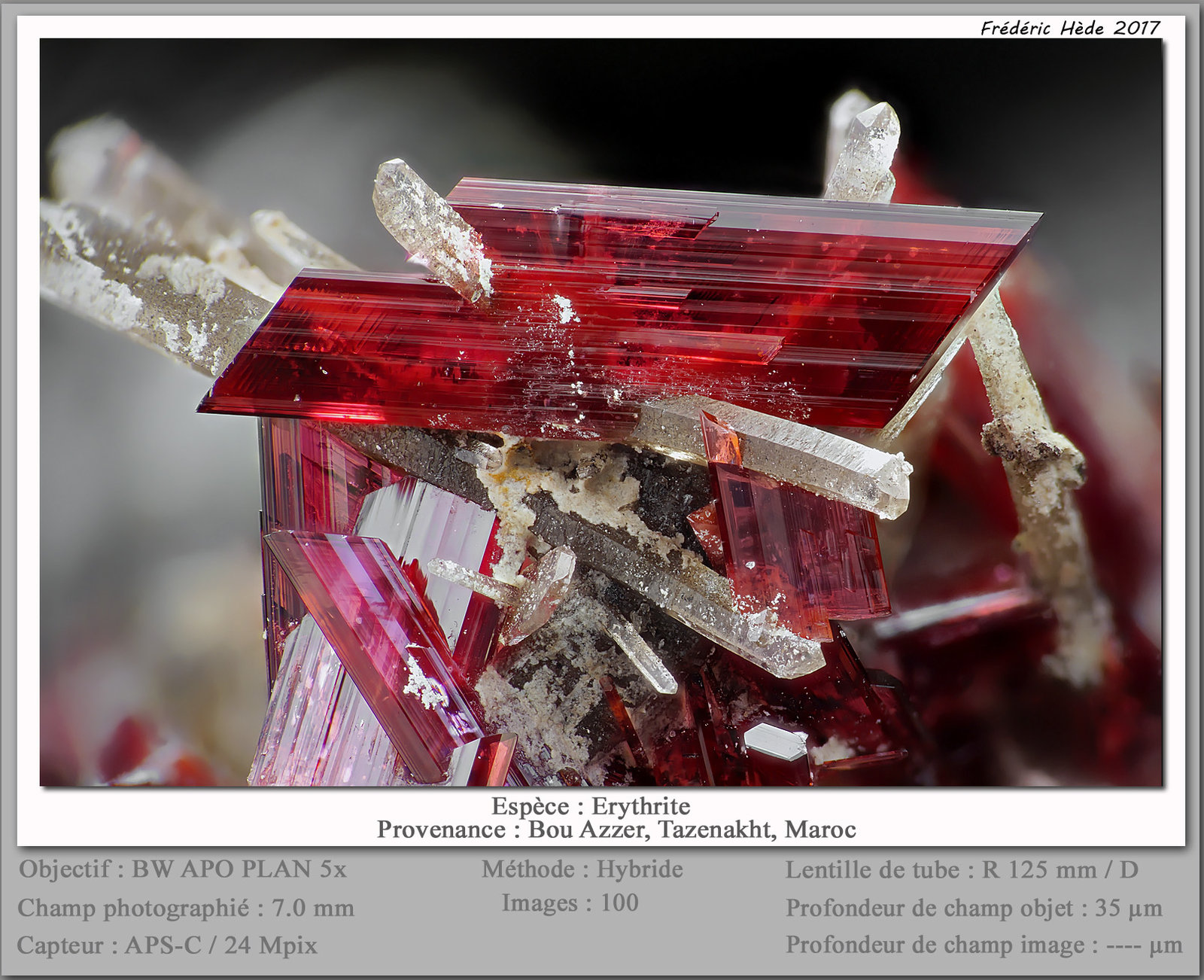 Erythrite
fov 7.0 mm
(Autor: ploum)