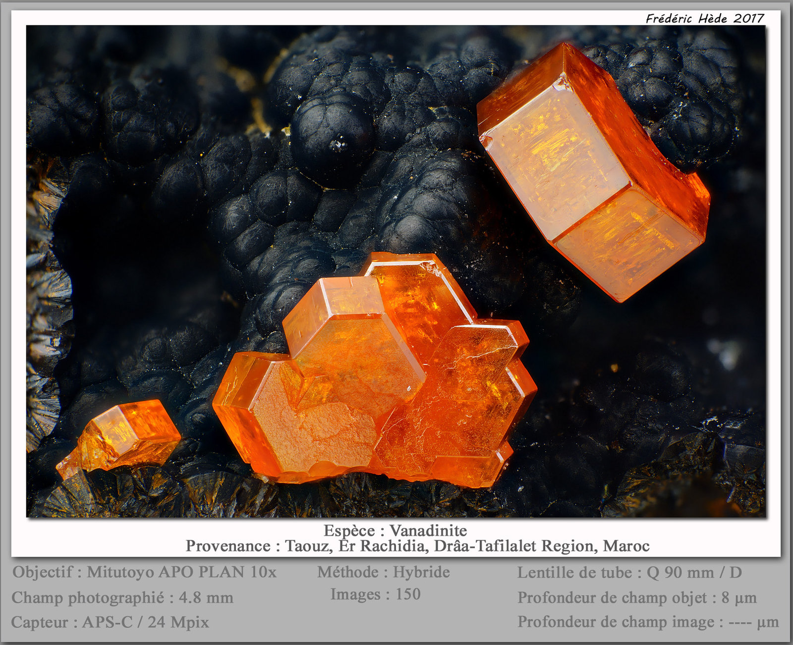 Vanadinite
fov 4.8 mm
(Autor: ploum)