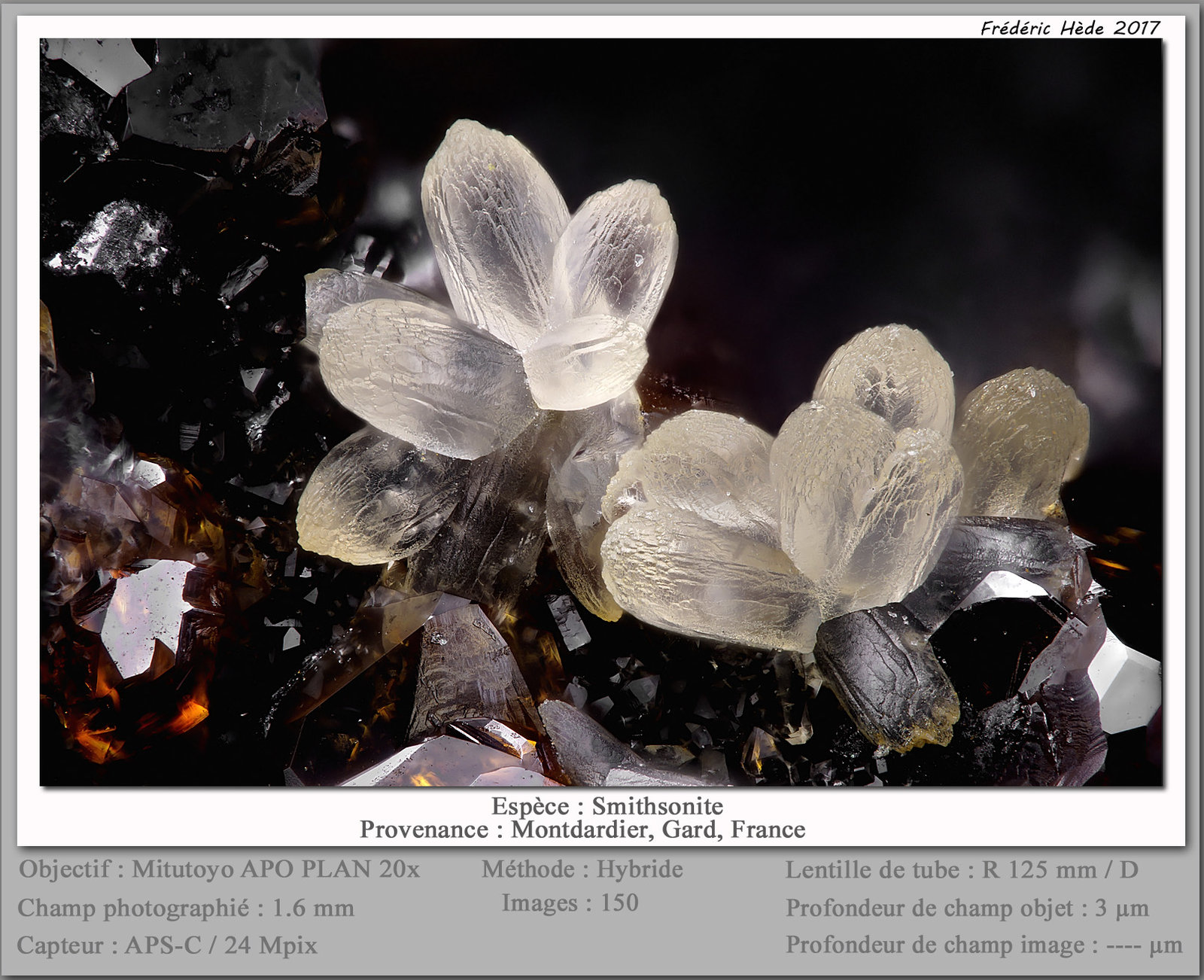 Smithsonite
fov 1.6 mm
(Autor: ploum)