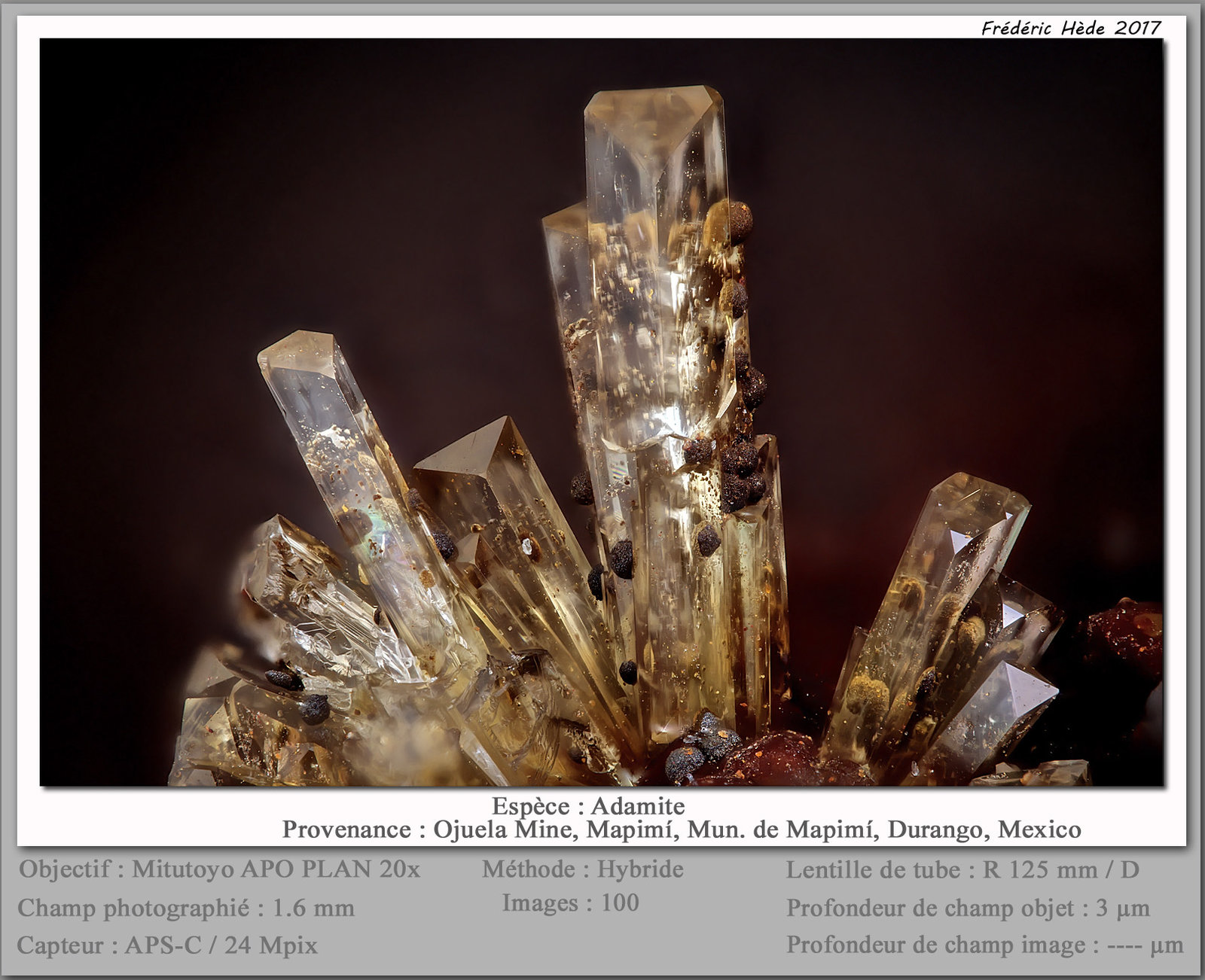 Adamite
fov 1.6 mm
(Autor: ploum)