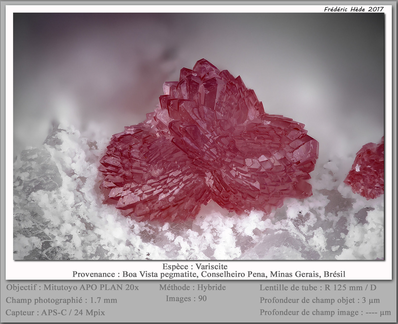 Variscite
fov 1.7 mm
(Autor: ploum)
