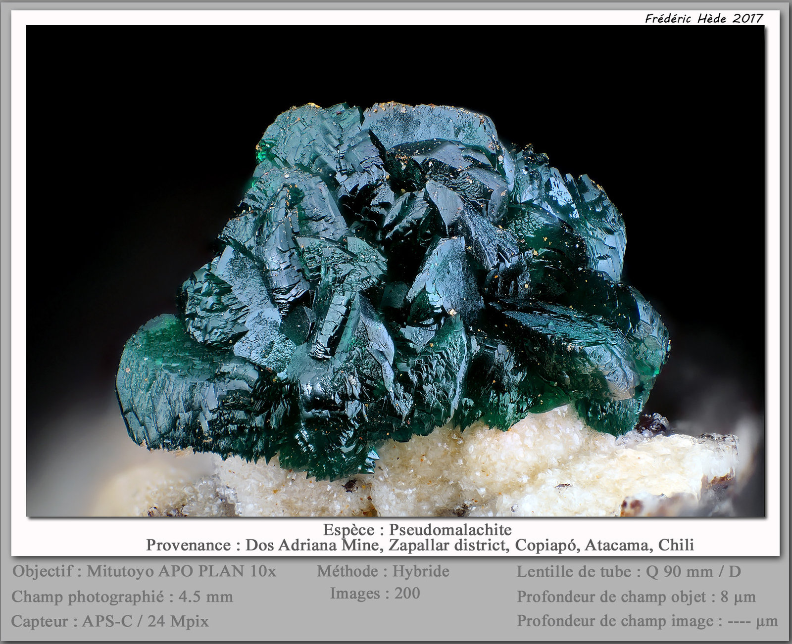 Pseudomalachite
fov 4.5 mm
(Autor: ploum)