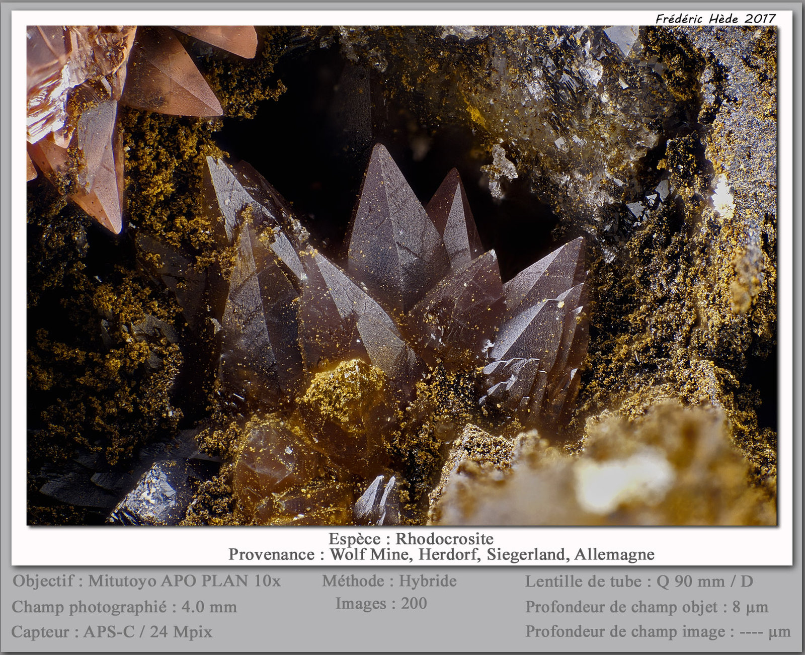 Rhodocrosite
fov 4.0 mm
(Autor: ploum)