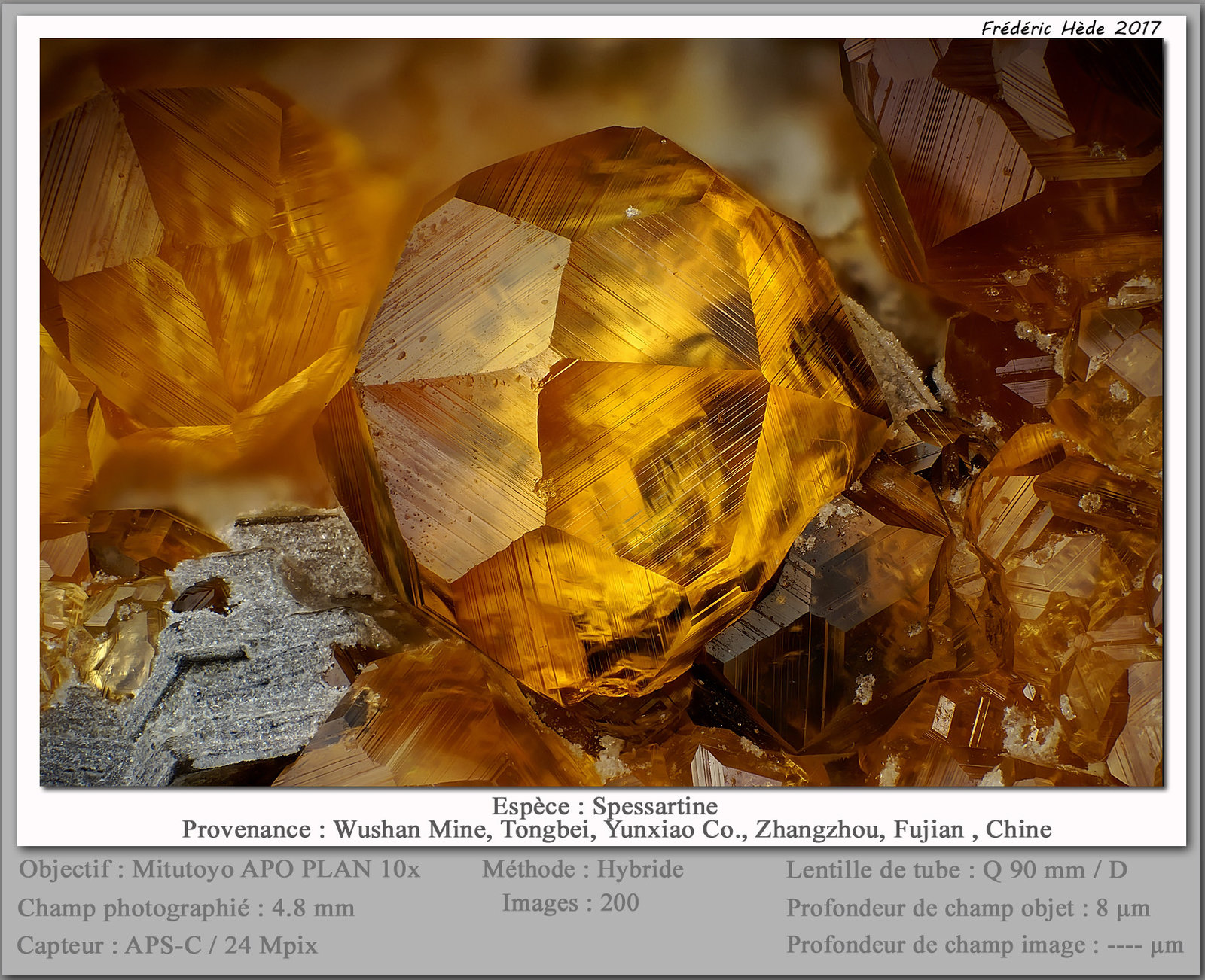 Spessartine
fov 4.8 mm
(Autor: ploum)