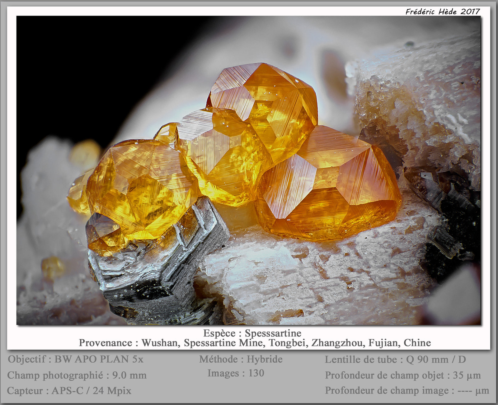 Spessartine
fov 9 mm
(Autor: ploum)