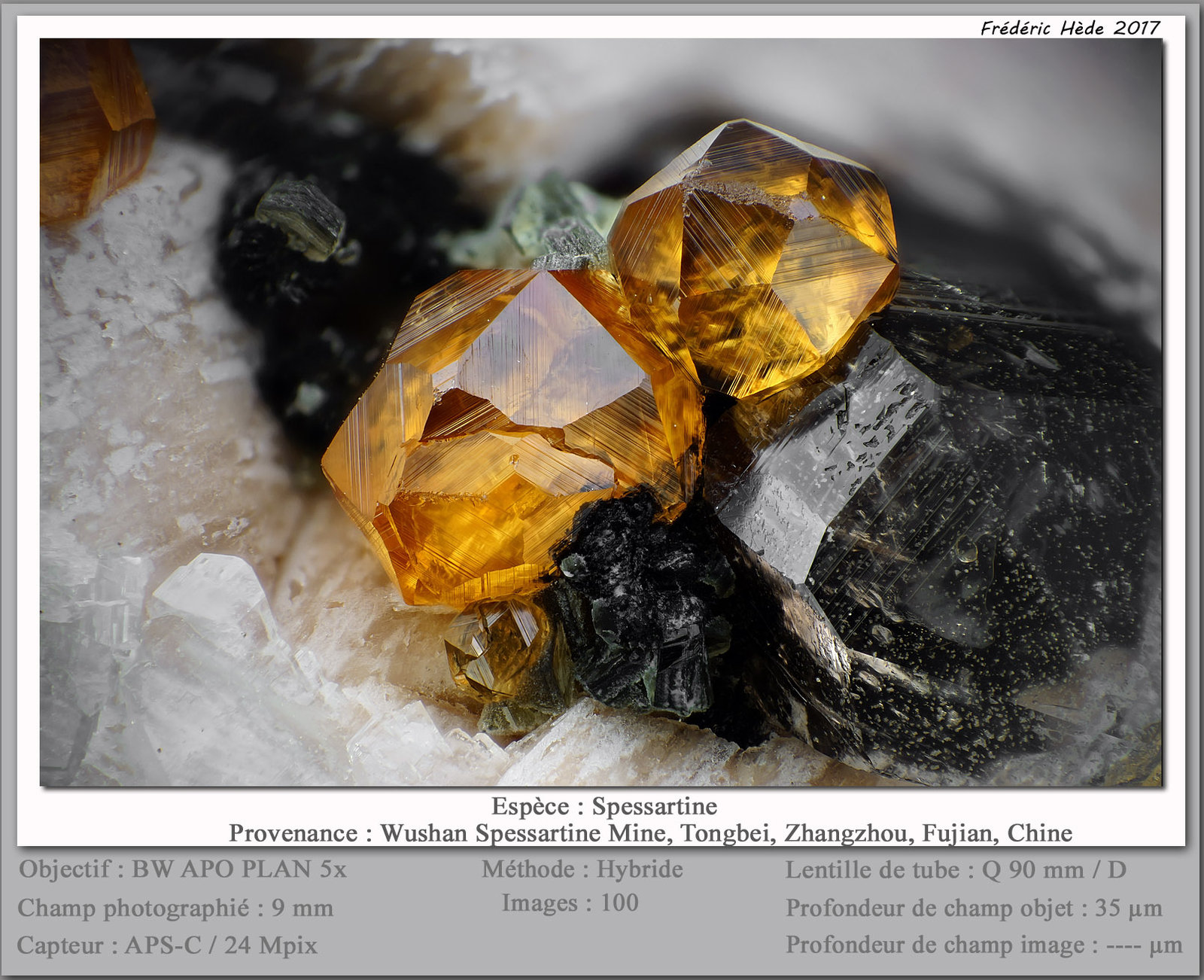 Spessartine
fov 9 mm
(Autor: ploum)