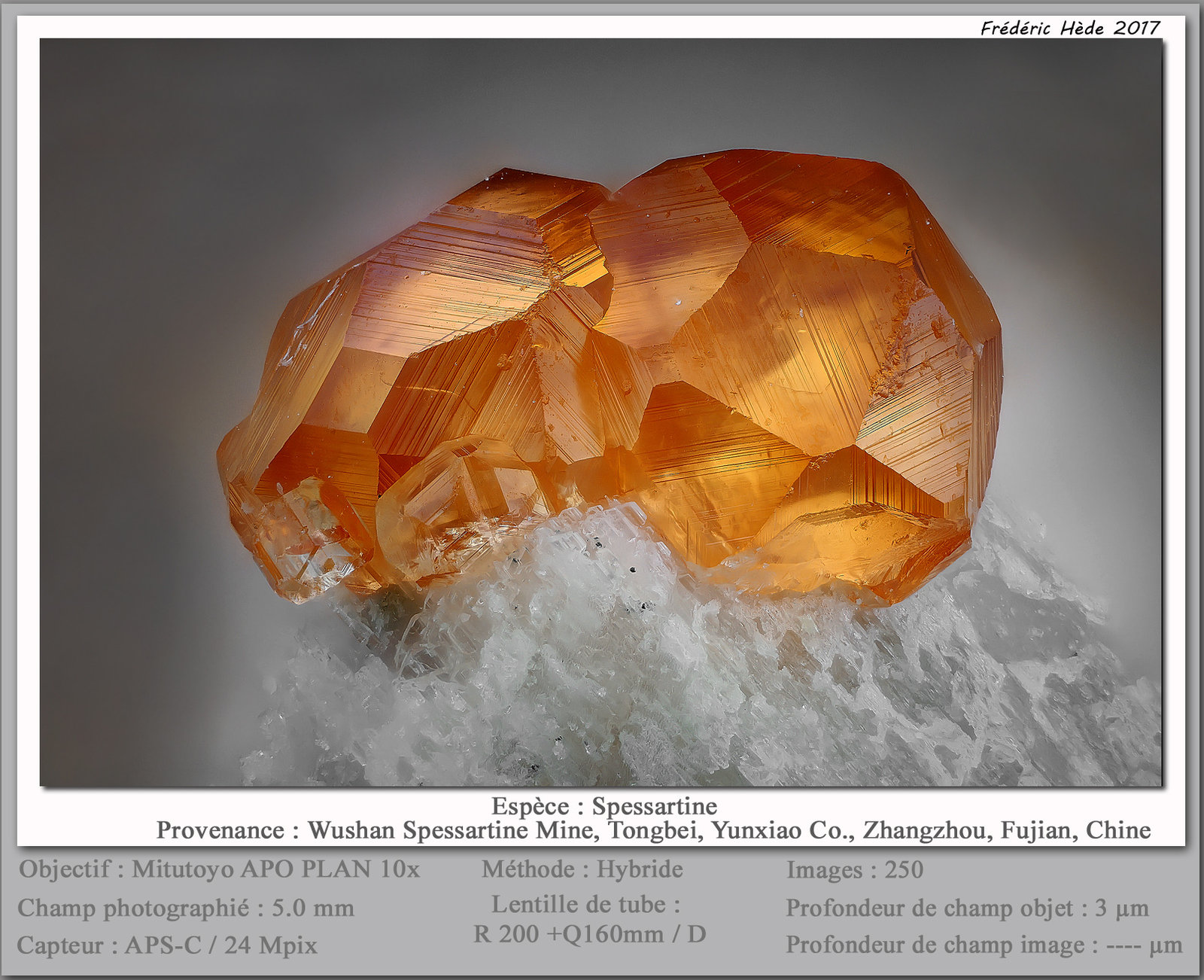 Spessartine
fov 5.0 mm
(Autor: ploum)