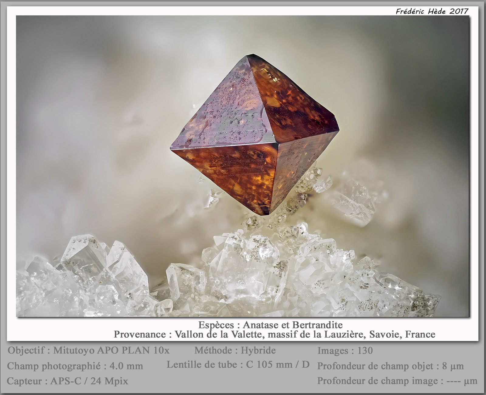 Anatase
fov 4 mm
(Autor: ploum)