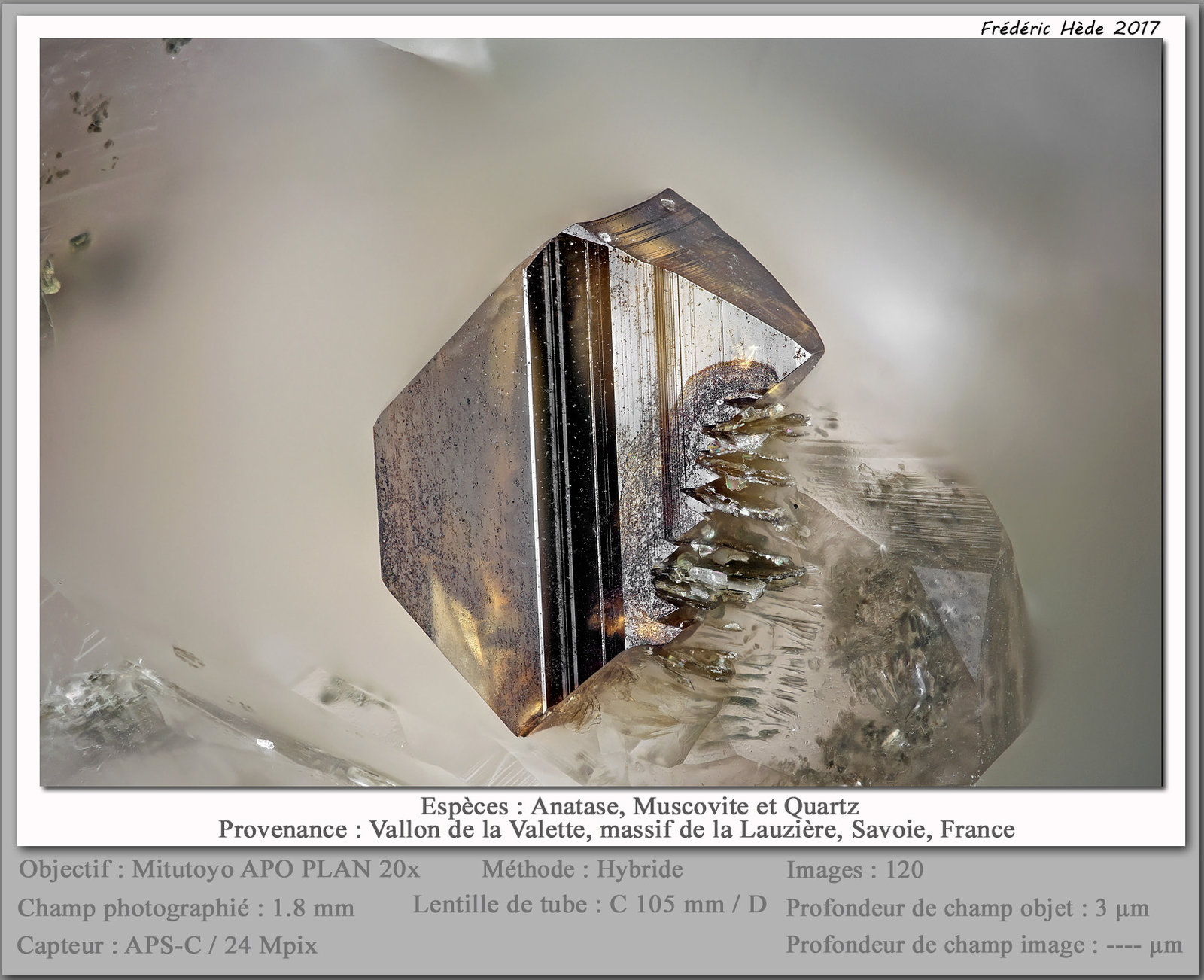 Anatase and Muscovite
fov 1.8 mm
(Autor: ploum)