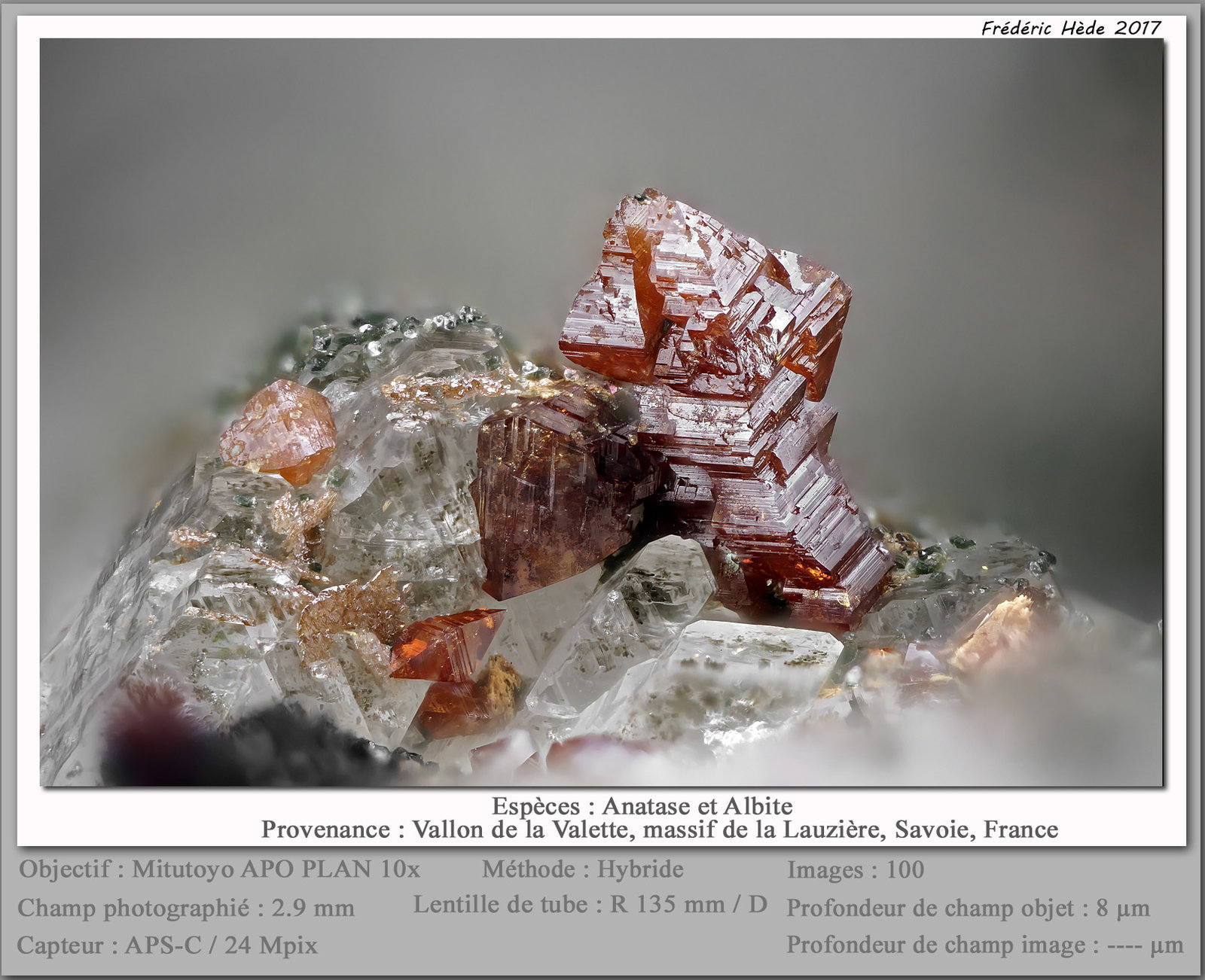 Anatase
fov 2.9 mm
(Autor: ploum)