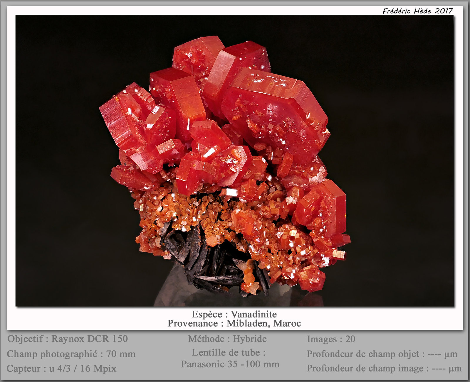 Vanadinite
fov 70 mm
(Autor: ploum)