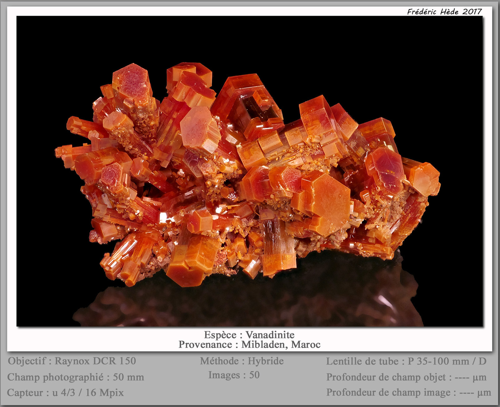 Vanadinite
fov 50 mm
(Autor: ploum)