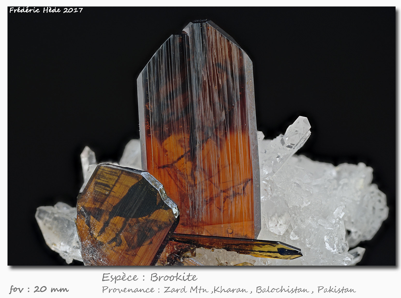Brookite
fov 20 mm
(Autor: ploum)