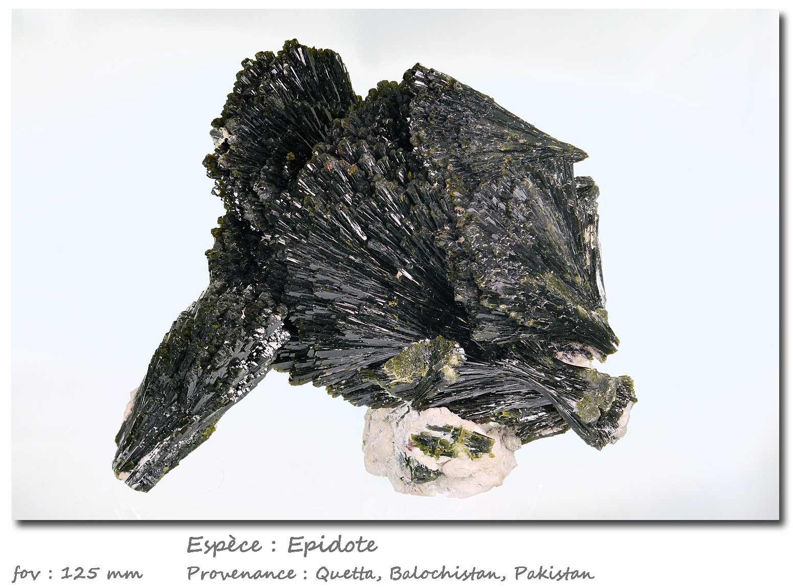 Epidote
fov 125 mm
(Autor: ploum)