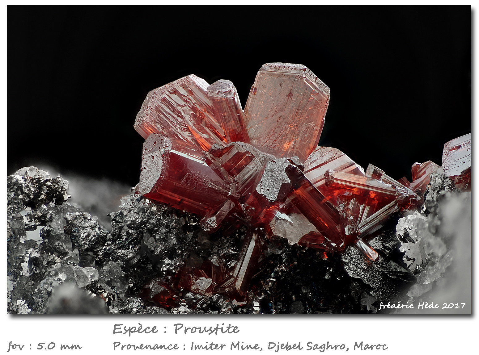 Proustite
fov 5.0 mm
(Autor: ploum)