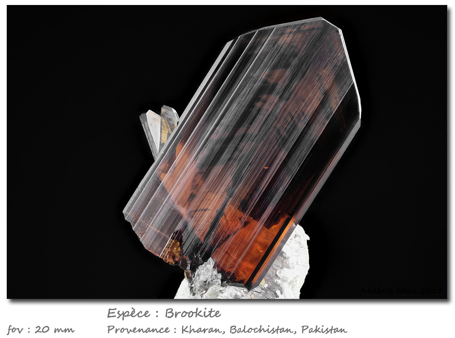 Brookite
fov 20 mm
(Autor: ploum)