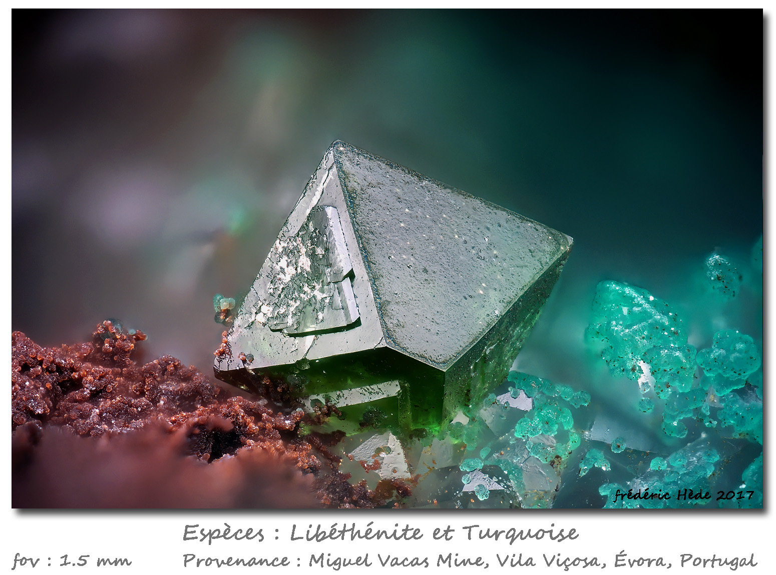 Libethenite and Turquoise
fov 1.5 mm
(Autor: ploum)
