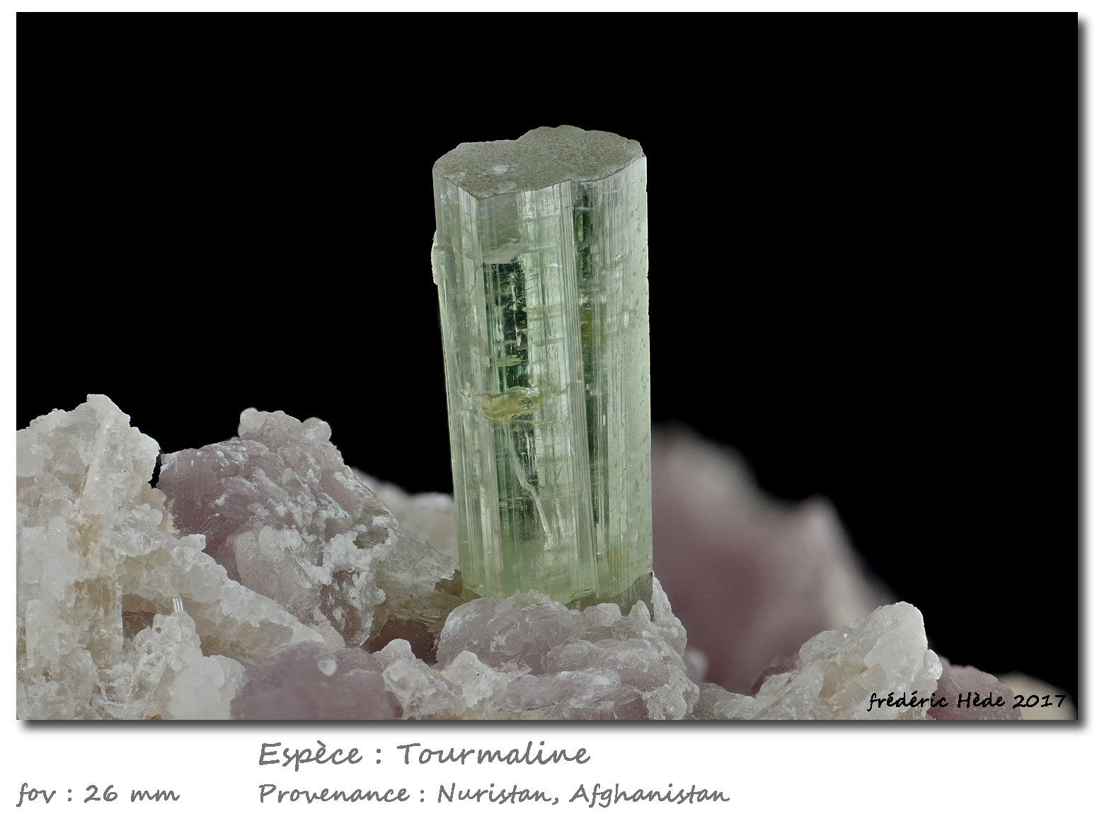 Tourmaline
fov 26 mm
(Autor: ploum)