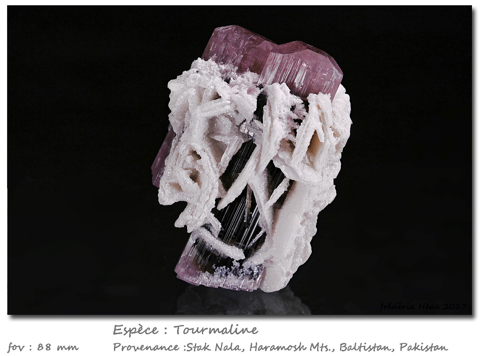 Tourmaline
fov 88 mm
(Autor: ploum)