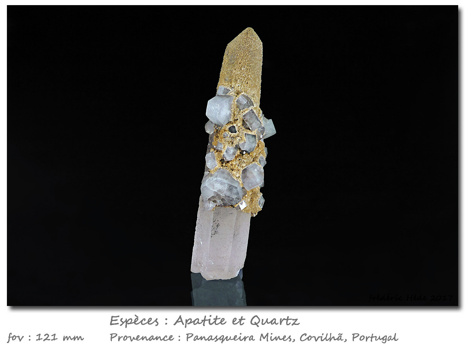 Fluorapatite on Quartz
fov 122 mm
(Autor: ploum)