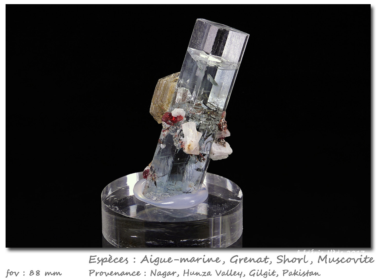 Beryl (variety aquamarine), Garnet, Tourmaline, Muscovite
fov 88 mm
(Autor: ploum)