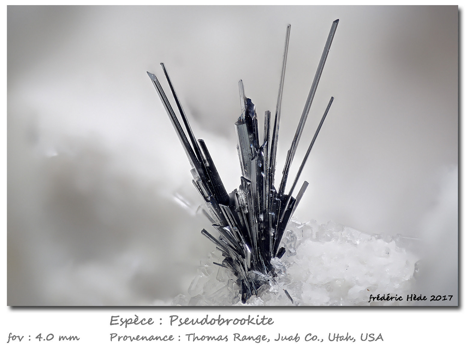 Pseudobrookite
fov 4.0 mm
(Autor: ploum)