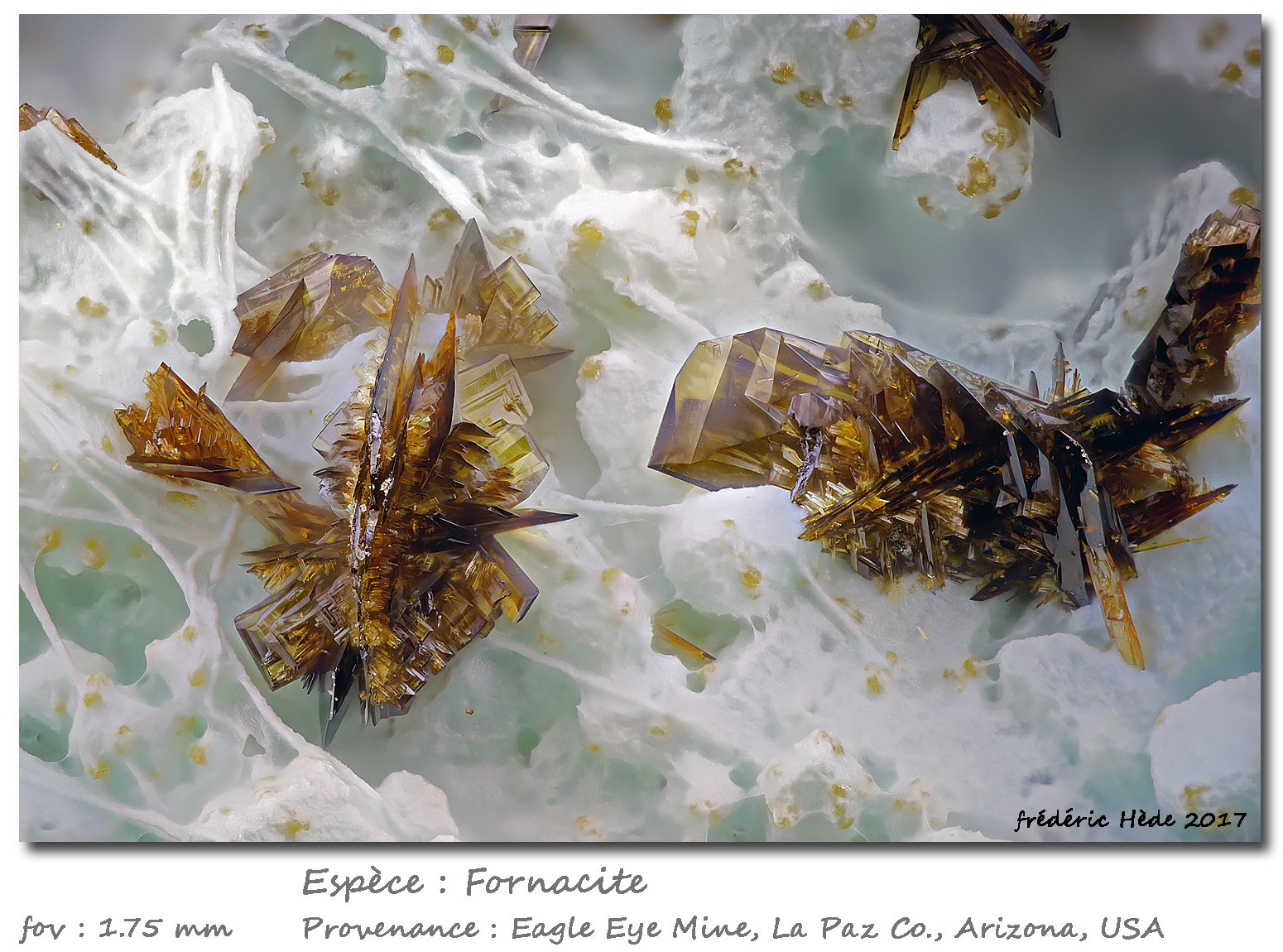 Fornacite
fov 1.75 mm
(Autor: ploum)