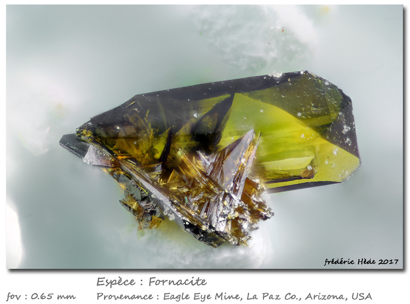 Fornacite
fov 0.65 mm
(Autor: ploum)