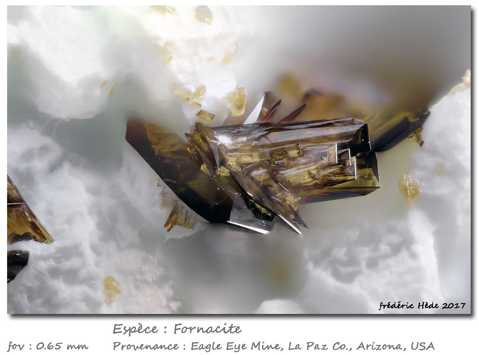 Fornacite
fov 0.65 mm
(Autor: ploum)