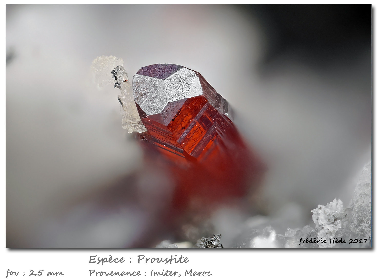 Proustite
fov 2.5 mm
(Autor: ploum)