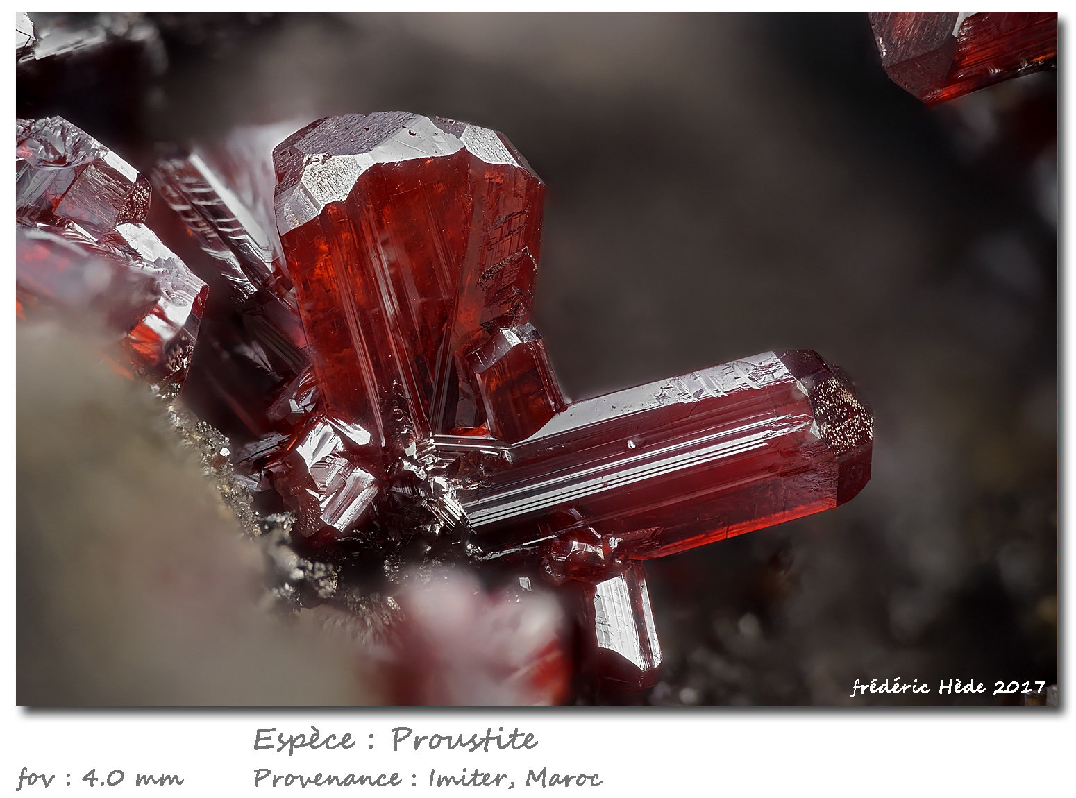 Proustite
fov 4.0 mm
(Autor: ploum)