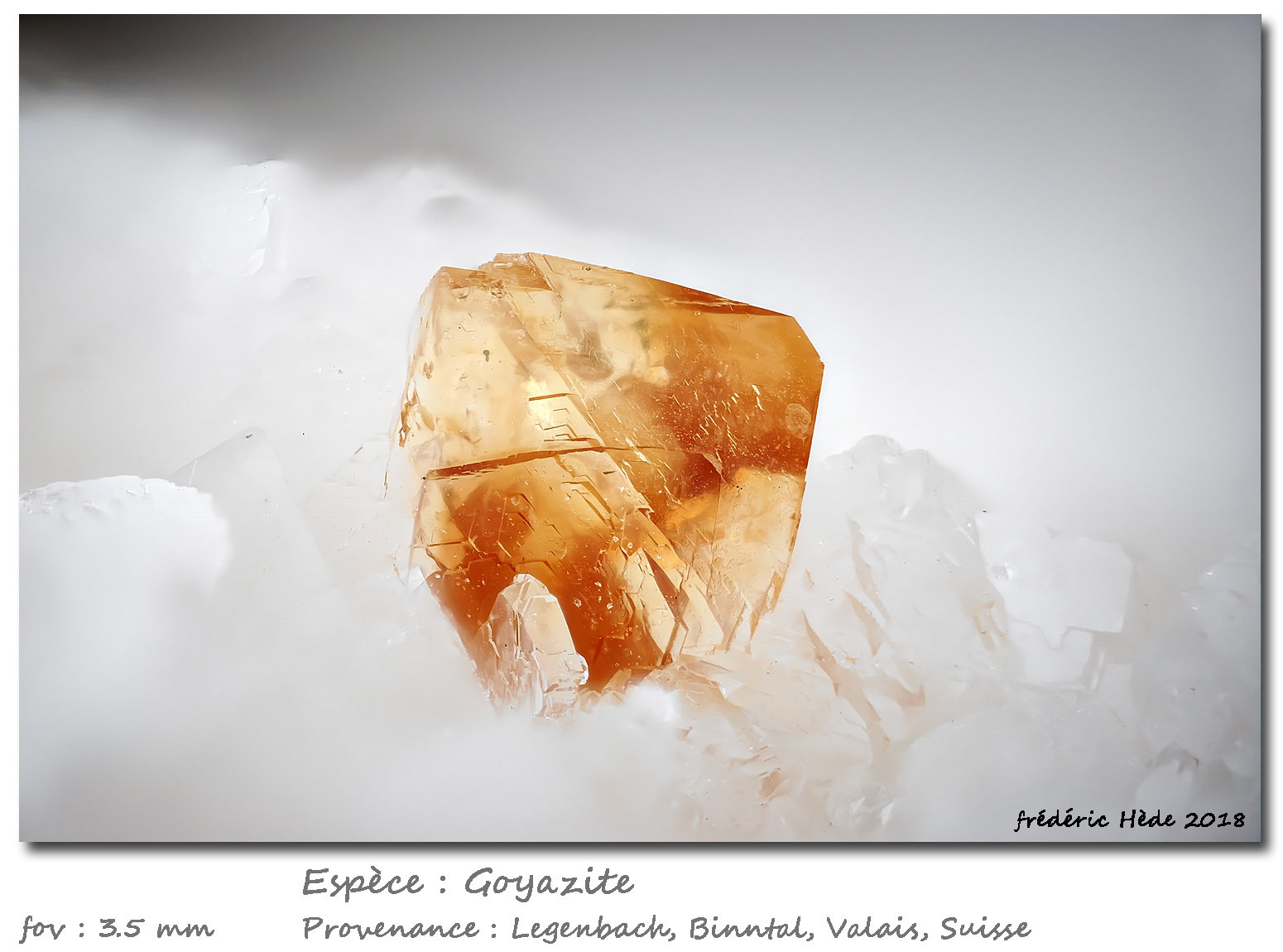 Goyazite
fov 3.5 mm
(Autor: ploum)