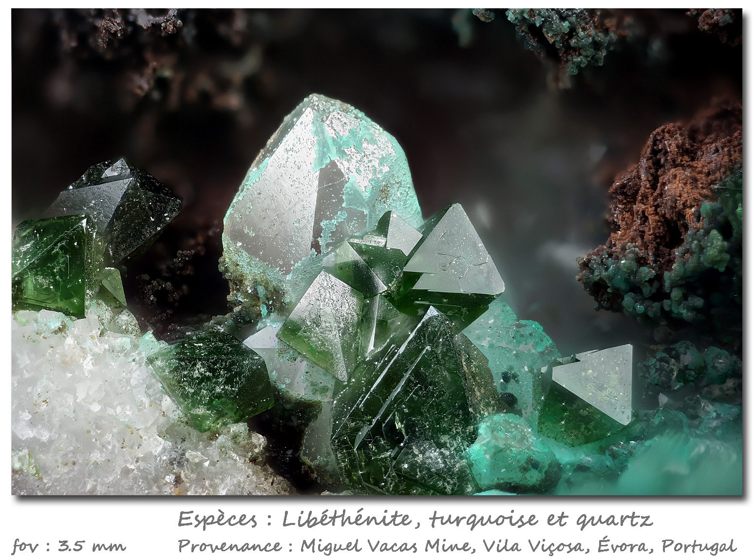 Libethenite,Turquoise and Quartz
fov 3.5 mm
(Autor: ploum)