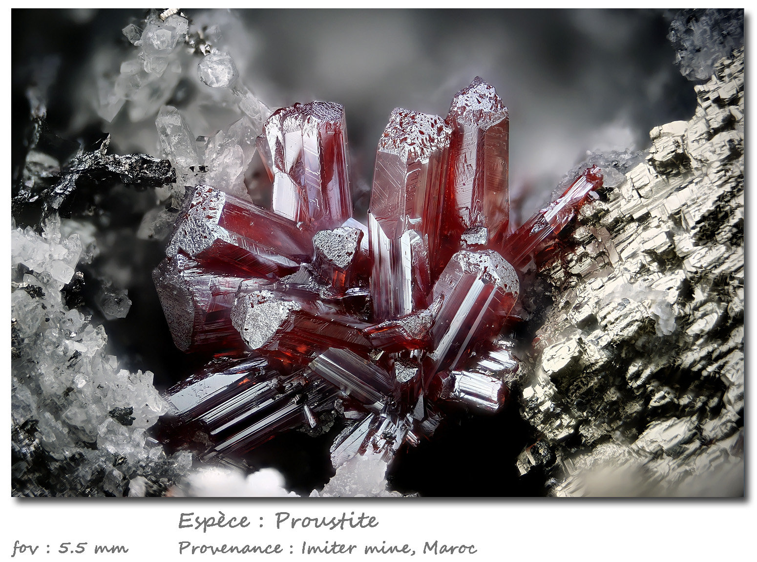 Proustite
fov 5.5 mm
(Autor: ploum)