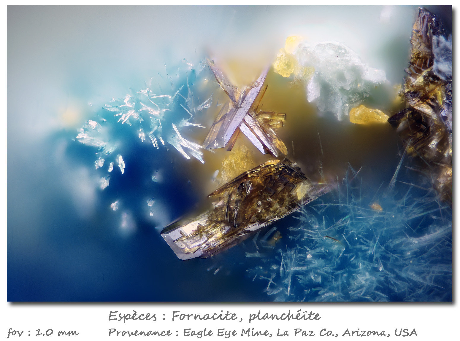 Fornacite and Plancheite
fov 1 mm
(Autor: ploum)