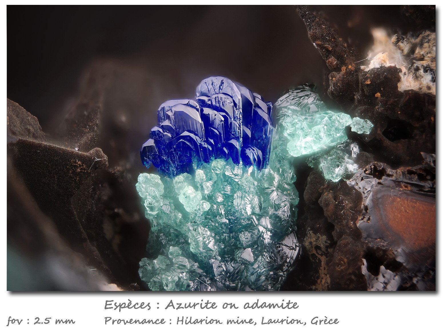 Azurite on Adamite
fov 2.5 mm
(Autor: ploum)