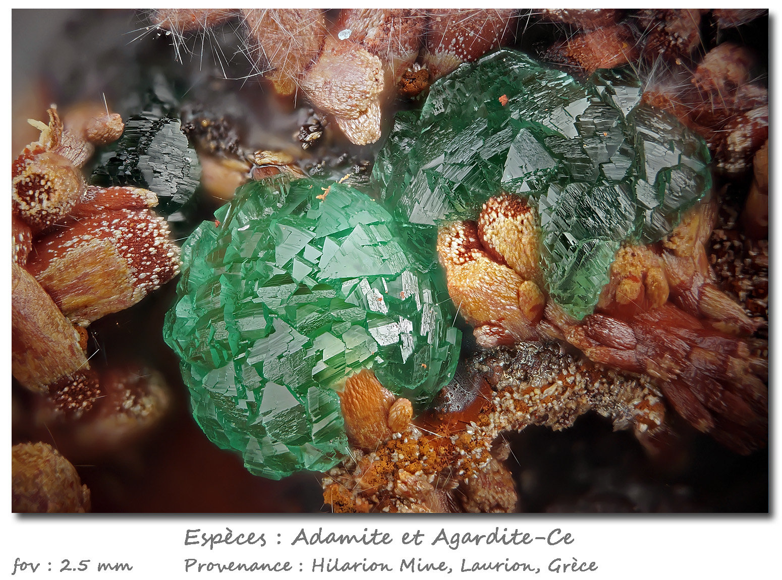 Adamite and Agardite-Ce
fov 2.5 mm
(Autor: ploum)