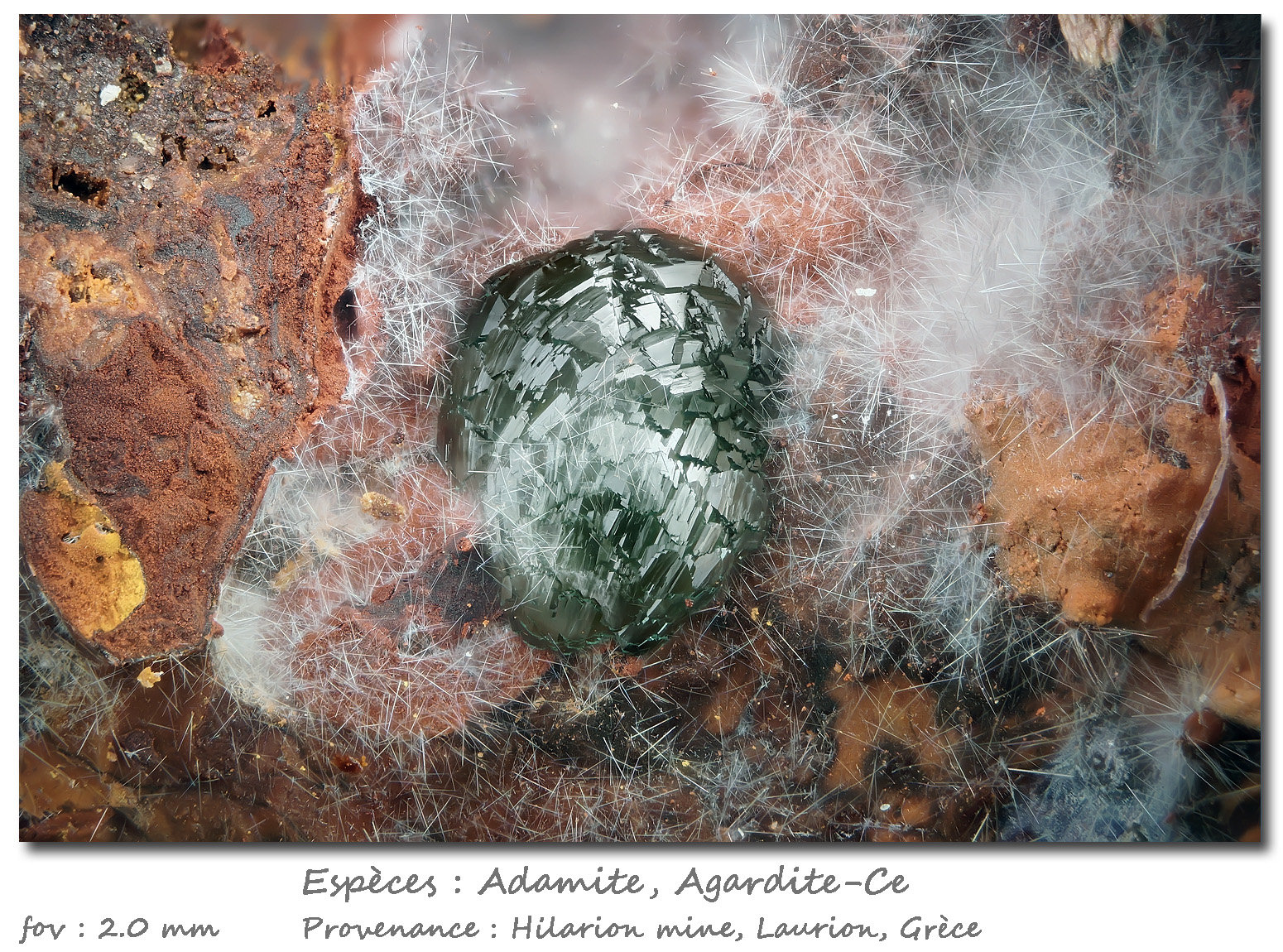 Adamite and Agardite-Ce
fov 2.0 mm
(Autor: ploum)