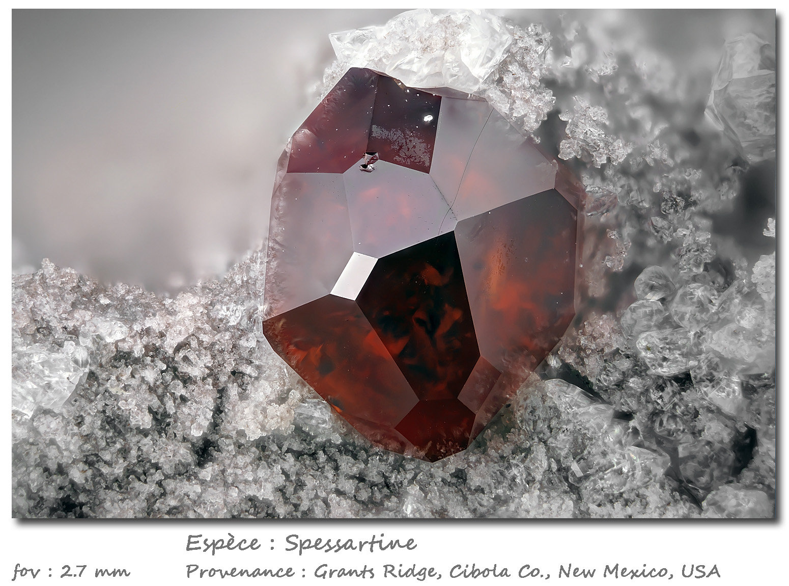 Spessartine
fov 2.7 mm
(Autor: ploum)